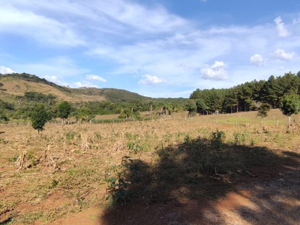 Chácara à venda 3 alqueires Guarapuava
