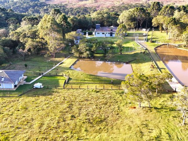 Chácara à venda, 5 alqueires, Guarapuava
