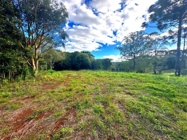 Fazenda à venda, 54 alqueires, Palmeirinha