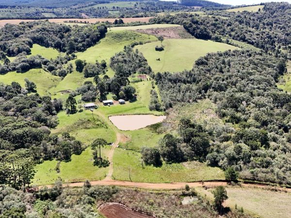Chácara à venda 10.9 alqueires Guairacá