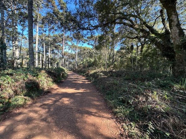Chácara à venda 13.2 alqueires Palmeirinha