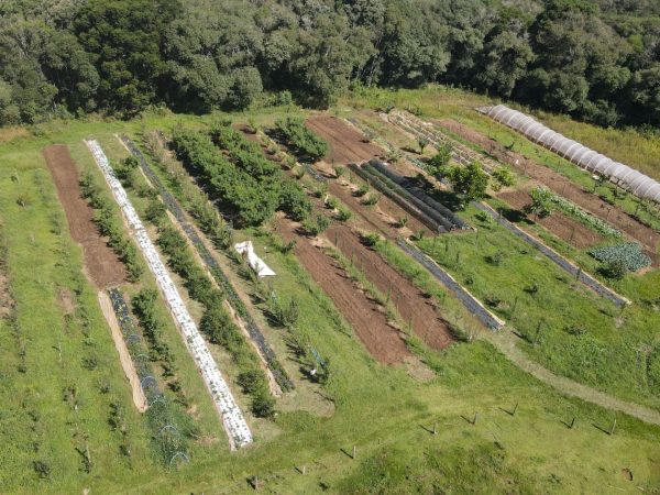 Chácara à venda 5 alqueires Guarapuava