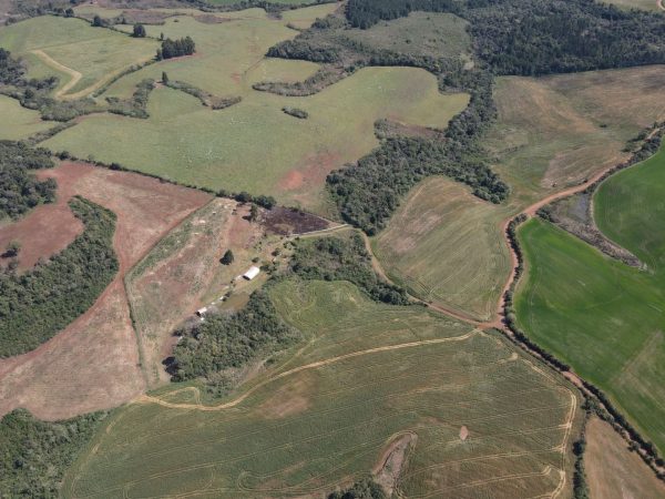 Fazenda à venda 89 alqueires Turvo
