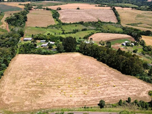 Chácara à venda 10 alqueires Guarapuava