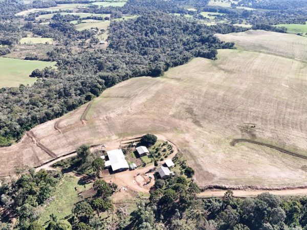Fazenda à venda 36 alqueires Pinhão