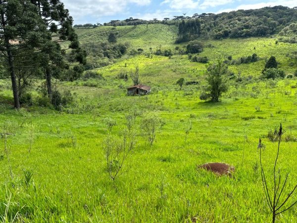 Chácara à venda 5 alqueires Guairacá