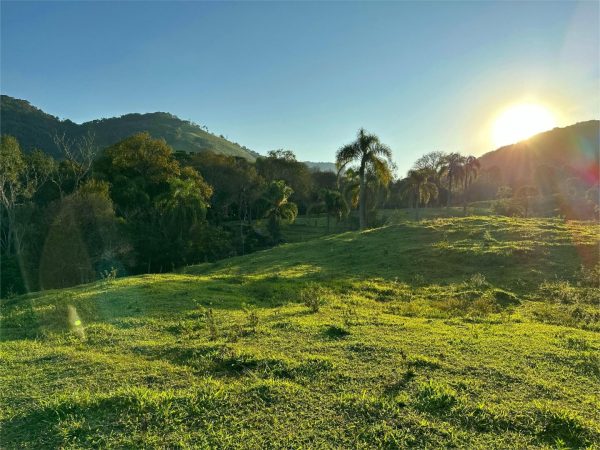 Chácara à venda 9 alqueires Guarapuava