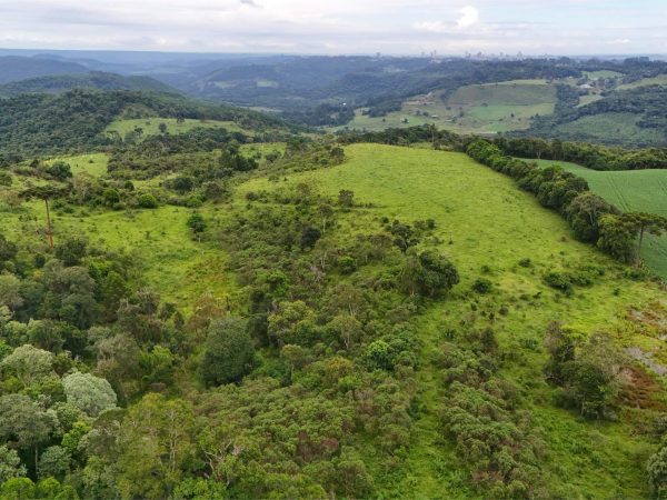 Fazenda à venda, 43 alqueires, Guarapuava