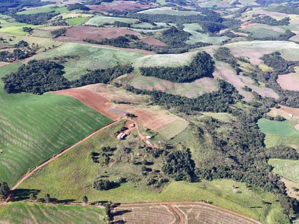 Fazenda à venda, 156 alqueires, Pitanga