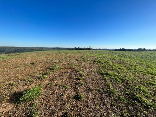 Fazenda à venda 37.8 alqueires Guarapuava