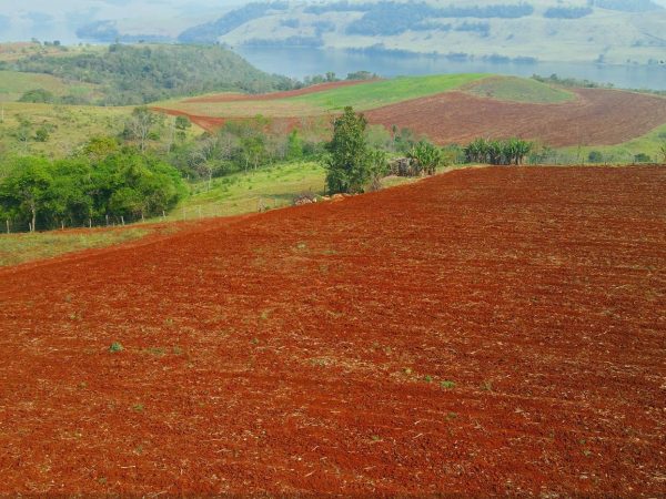 Chácara à venda 5,5 alqueires Candói