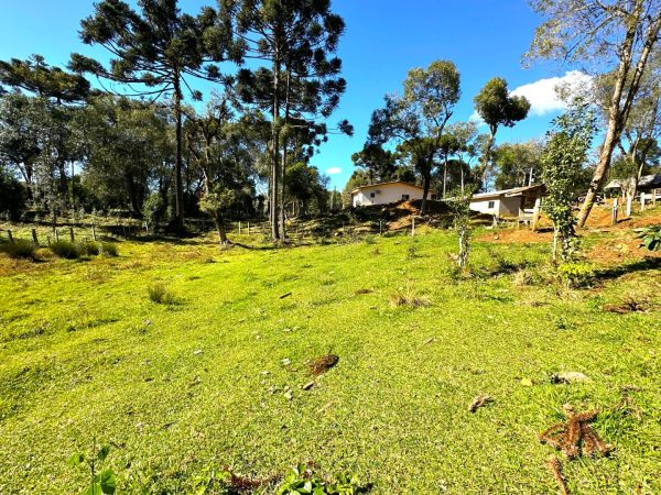 Fazenda à venda 29 alqueires Guarapuava