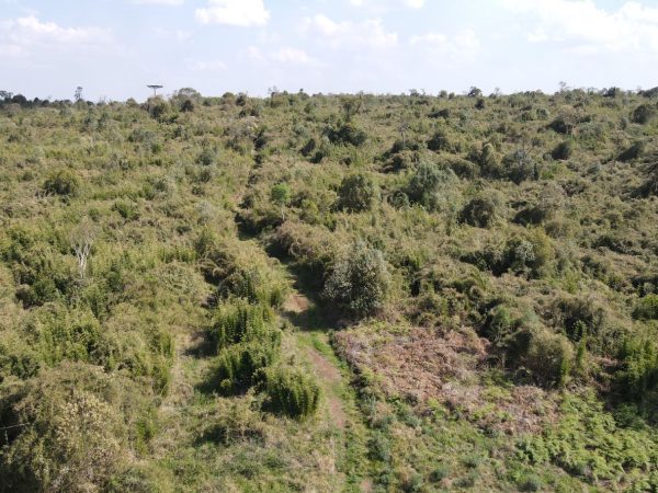 Fazenda à venda 140 alqueires Pinhão