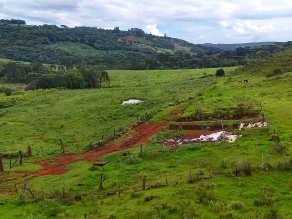 Fazenda 43 alqueires Guarapuava