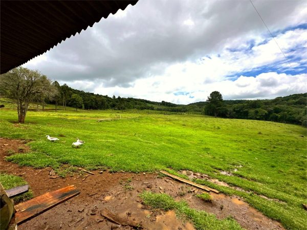 Chácara com 8 alqueires à venda, Guarapuava