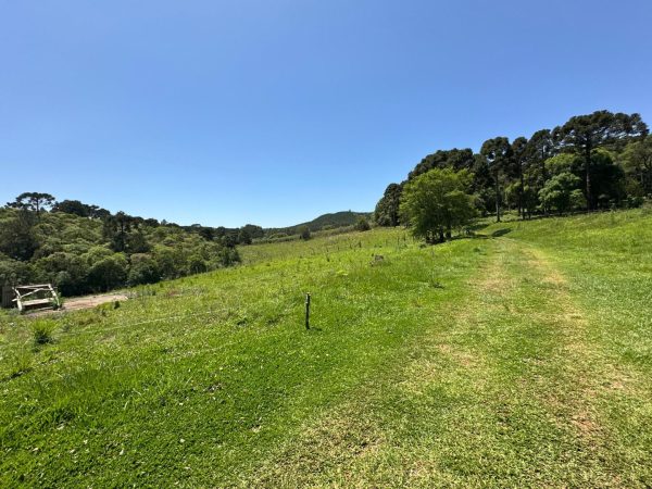 Chácara à venda 5 Alqueires Guarapuava