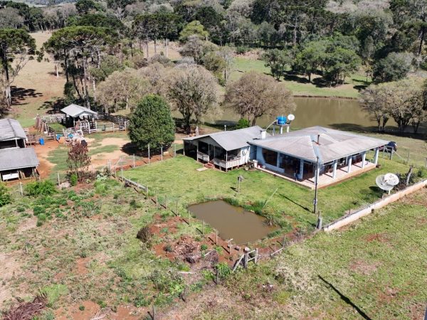 Chácara à venda 6.5 alqueires Guarapuava
