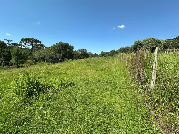 Fazenda à venda 12.5 alqueires Guarapuava
