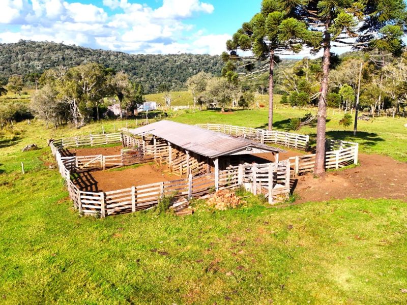 Fazenda à venda 130 alqueires Guarapuava