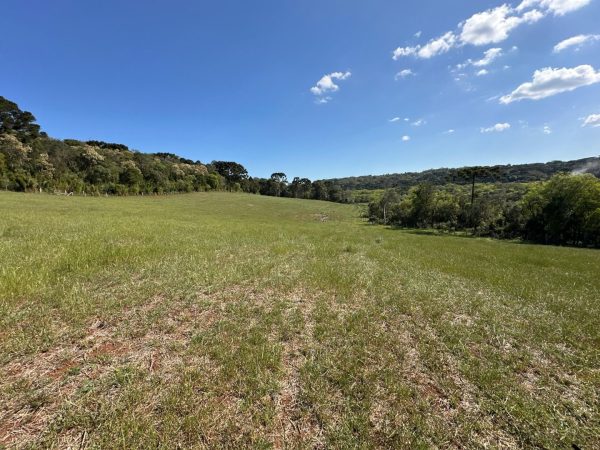 Chácara à venda 5 Alqueires Guarapuava