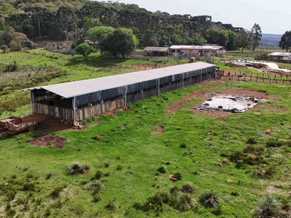 Fazenda 64.8 Alqueires à venda Guarapuava