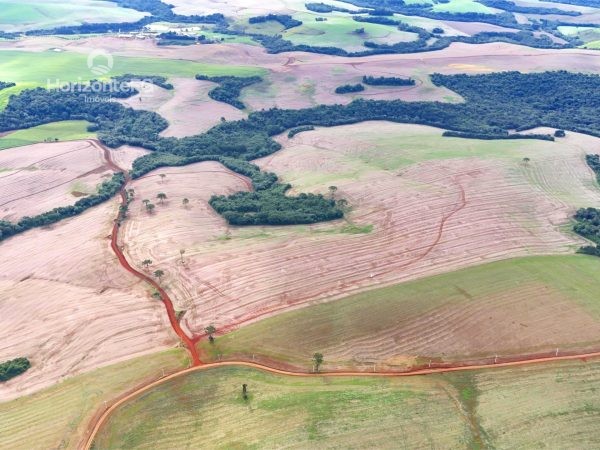 Fazenda à venda 45 alqueires Pitanga