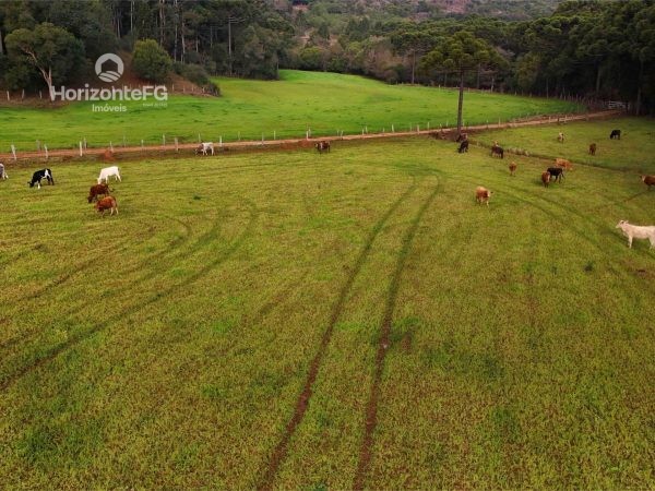 Chácara à venda 16 alqueires Guarapuava