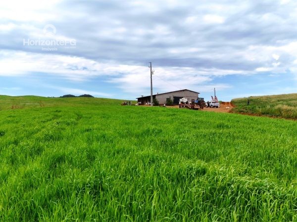 Fazenda à venda 46 alqueires Guarapuava