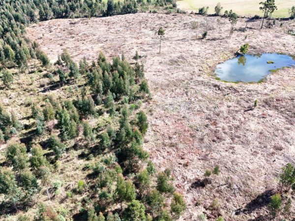 Chácara à venda 7.2 Alqueires Guarapuava
