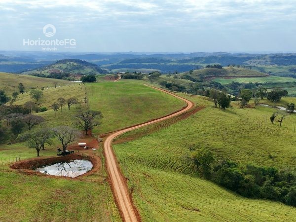 Fazenda 446 alqueires Guaraniaçu