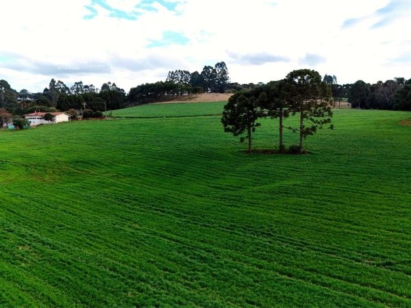 Chácara à venda 11.6 alqueires Guarapuava