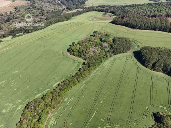 Fazenda à venda 47 alqueires Campina do Simão