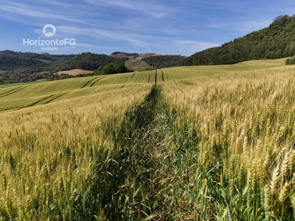 Chácara à venda 18 alqueires Candói