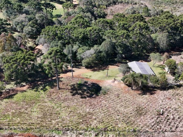 Chácara à venda, 1.4 alqueires, Guarapuava
