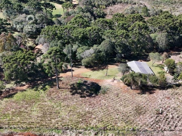 Chácara à venda, 1.4 alqueires, Guarapuava
