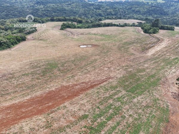 Fazenda à venda 122 alqueires Guarapuava