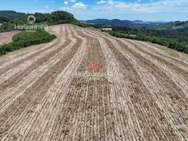 Fazenda à venda 22 alqueires Campina do Simão