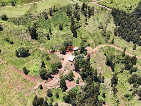 Chácara à venda, 10.5 Alqueires, Pinhão