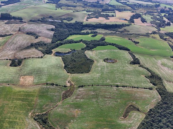 SÍTIO À VENDA 20 ALQUEIRES TURVO