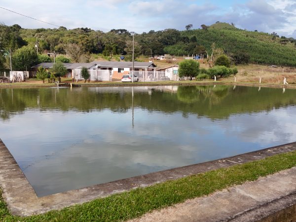 CHÁCARA À VENDA 12.000M² GUABIROBA
