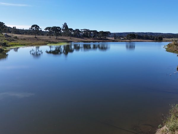 SÍTIO À VENDA 19.8 ALQUEIRES – ENTRE RIOS
