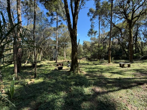 CHÁCARA 20.000m² À VENDA EM CODOMÍNIO – JORDÃO/GUARAPUAVA